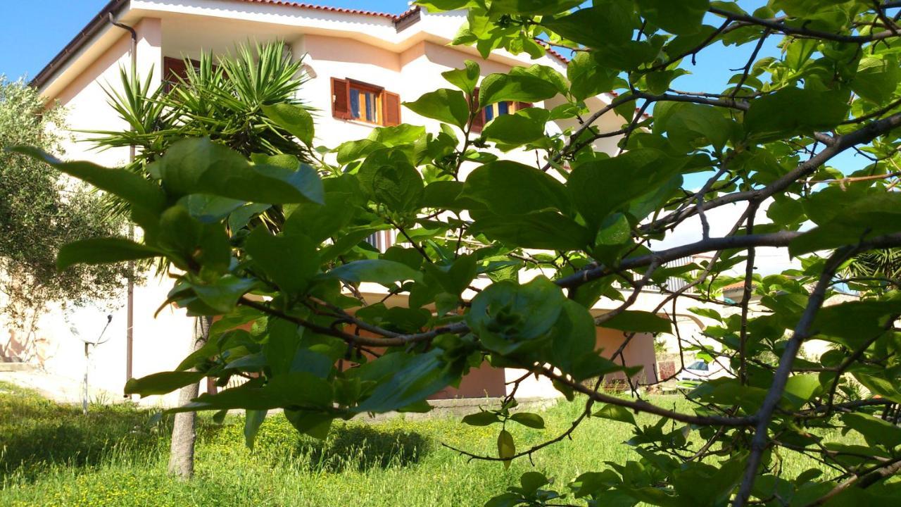 Borgo Marinaro Bed & Breakfast Марина ди Камерота Екстериор снимка