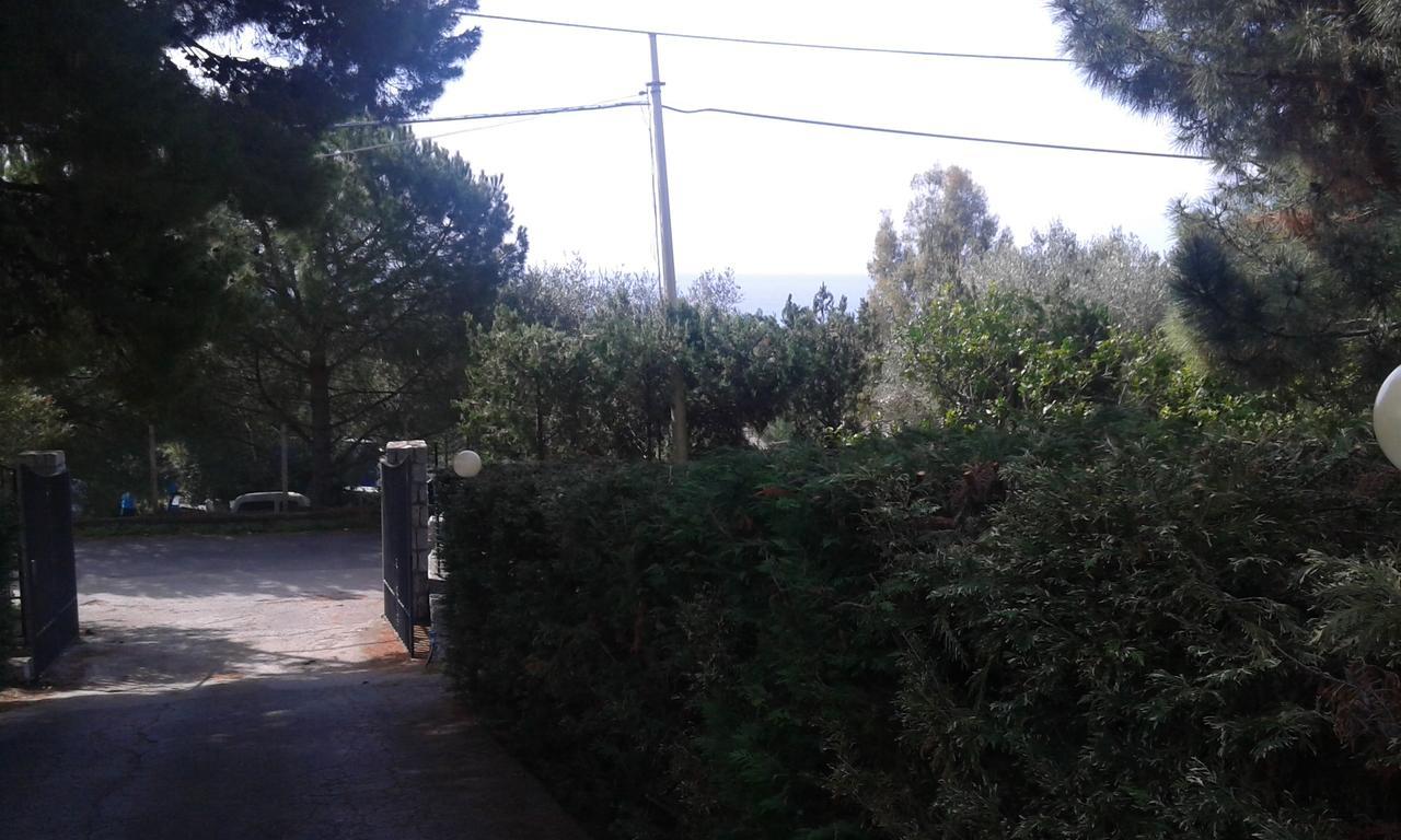 Borgo Marinaro Bed & Breakfast Марина ди Камерота Екстериор снимка